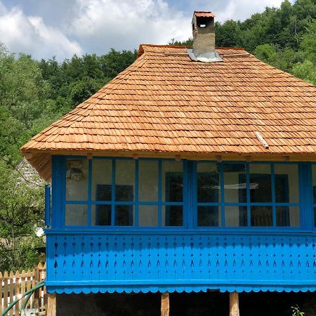 Villa Casa albastra Băile Olăneşti Exterior foto