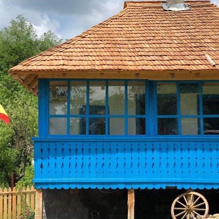 Villa Casa albastra Băile Olăneşti Exterior foto