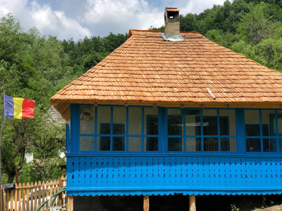 Villa Casa albastra Băile Olăneşti Exterior foto