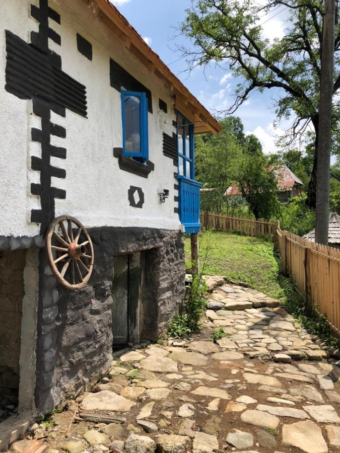 Villa Casa albastra Băile Olăneşti Exterior foto