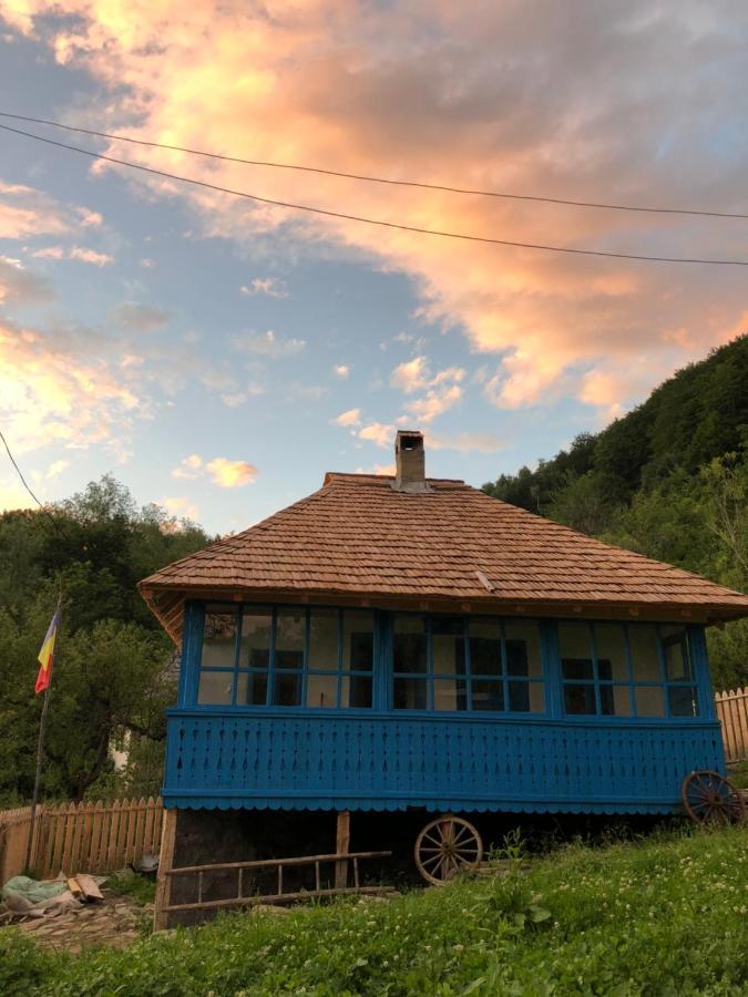Villa Casa albastra Băile Olăneşti Exterior foto