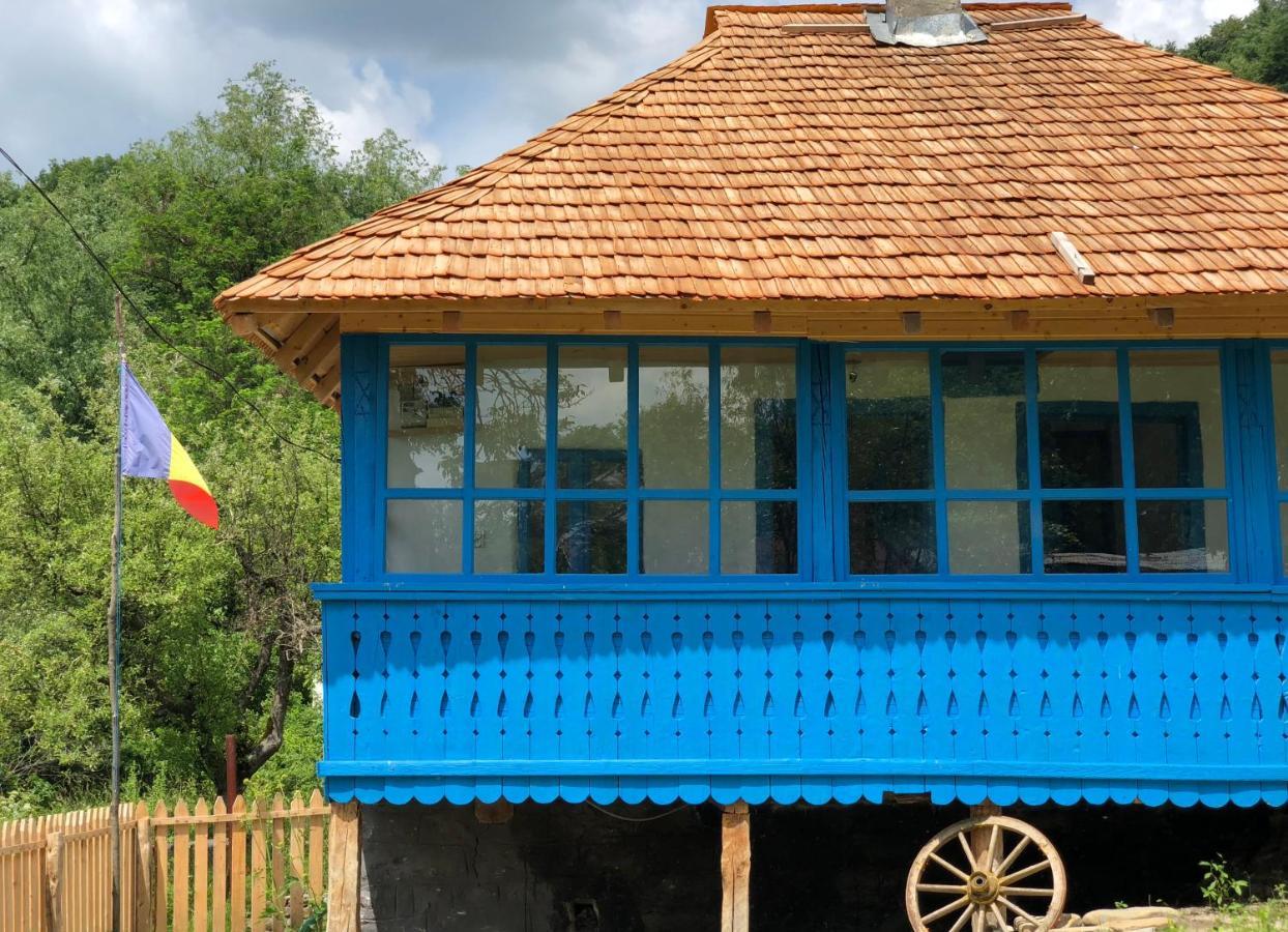 Villa Casa albastra Băile Olăneşti Exterior foto