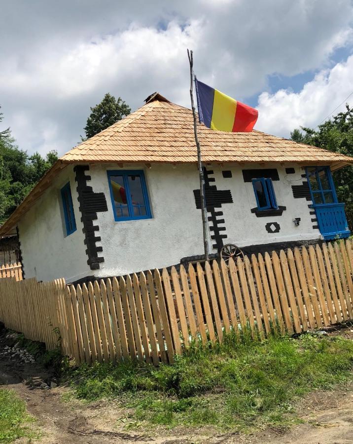 Villa Casa albastra Băile Olăneşti Exterior foto
