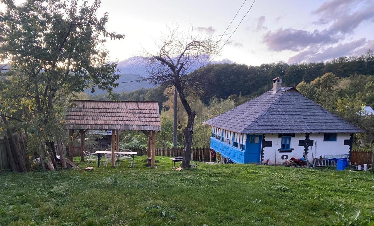 Villa Casa albastra Băile Olăneşti Exterior foto